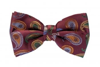 Papion grena print geometric