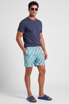 Multi-colored short