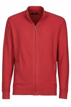 Regular burgundy sweater
