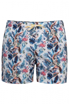 Short multicolor print 