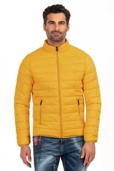 Yellow jacket